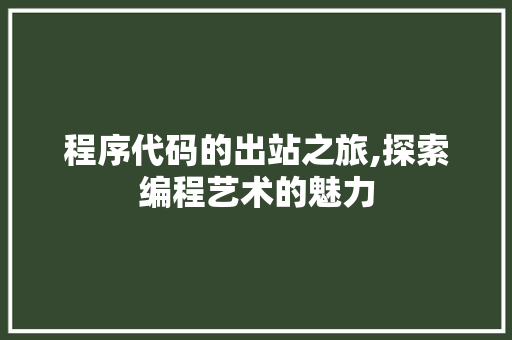 程序代码的出站之旅,探索编程艺术的魅力