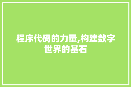 程序代码的力量,构建数字世界的基石