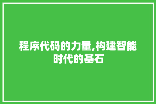 程序代码的力量,构建智能时代的基石