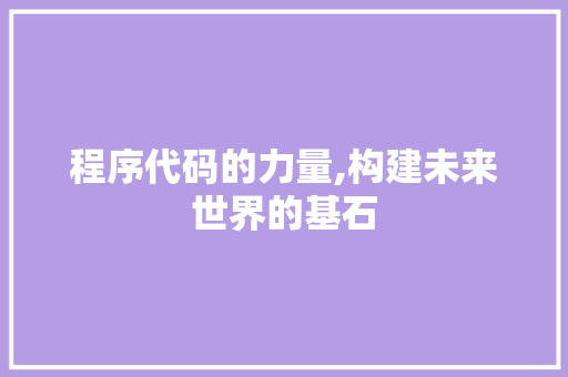 程序代码的力量,构建未来世界的基石