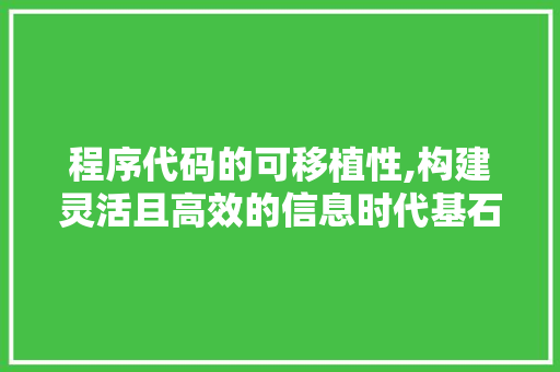 程序代码的可移植性,构建灵活且高效的信息时代基石