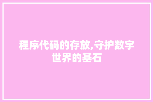 程序代码的存放,守护数字世界的基石