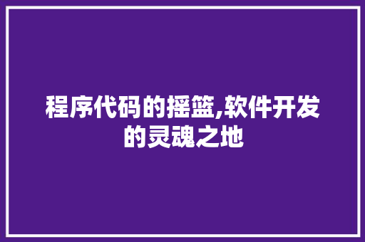 程序代码的摇篮,软件开发的灵魂之地