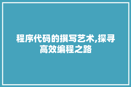 程序代码的撰写艺术,探寻高效编程之路