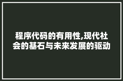 程序代码的有用性,现代社会的基石与未来发展的驱动力