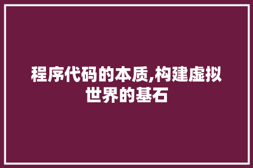 程序代码的本质,构建虚拟世界的基石