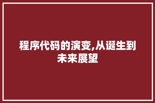 程序代码的演变,从诞生到未来展望
