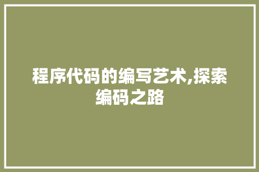 程序代码的编写艺术,探索编码之路 程序代码的编写艺术,探索编码之路 必应SEO