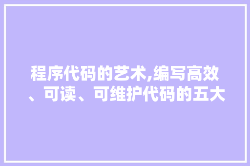 程序代码的艺术,编写高效、可读、可维护代码的五大原则