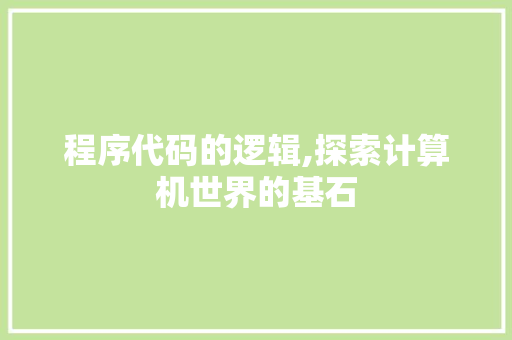 程序代码的逻辑,探索计算机世界的基石