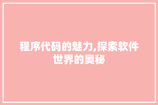 程序代码的魅力,探索软件世界的奥秘