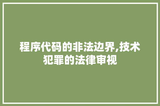 程序代码的非法边界,技术犯罪的法律审视