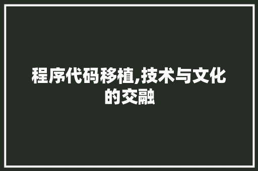 程序代码移植,技术与文化的交融