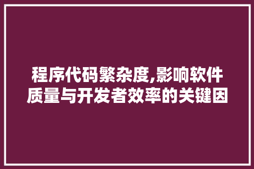 程序代码繁杂度,影响软件质量与开发者效率的关键因素