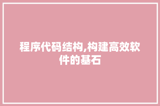 程序代码结构,构建高效软件的基石