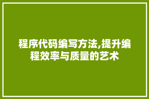 程序代码编写方法,提升编程效率与质量的艺术