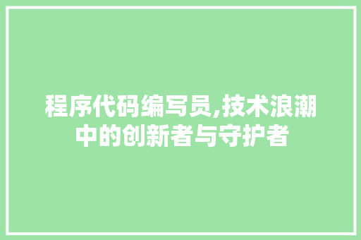 程序代码编写员,技术浪潮中的创新者与守护者
