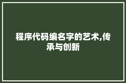 程序代码编名字的艺术,传承与创新