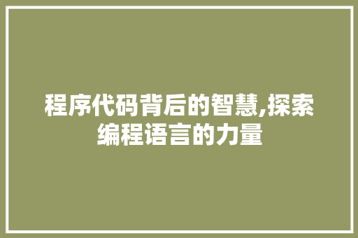 程序代码背后的智慧,探索编程语言的力量