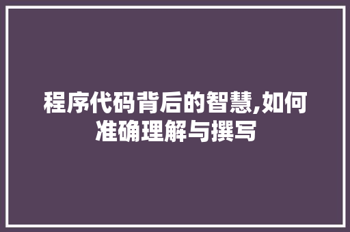 程序代码背后的智慧,如何准确理解与撰写 程序代码背后的智慧,如何准确理解与撰写 神马SEO
