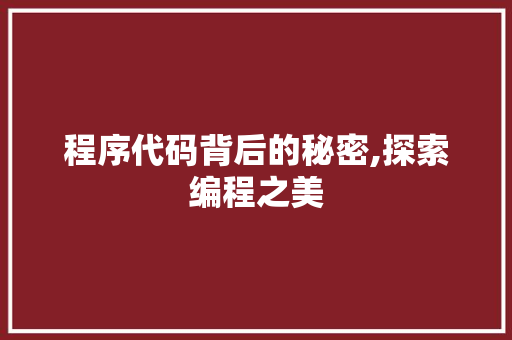 程序代码背后的秘密,探索编程之美