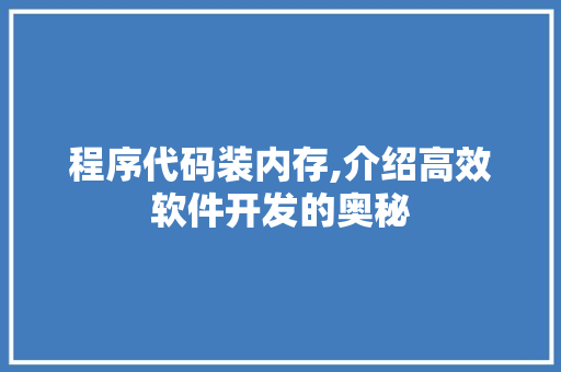 程序代码装内存,介绍高效软件开发的奥秘