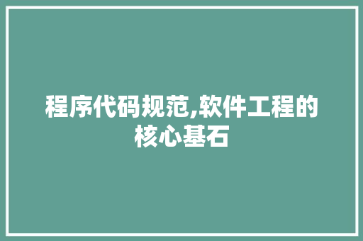程序代码规范,软件工程的核心基石