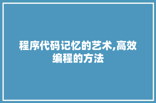 程序代码记忆的艺术,高效编程的方法