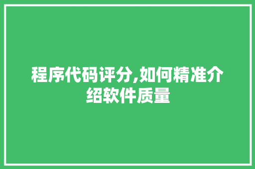 程序代码评分,如何精准介绍软件质量