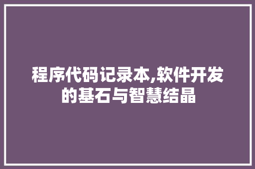 程序代码记录本,软件开发的基石与智慧结晶