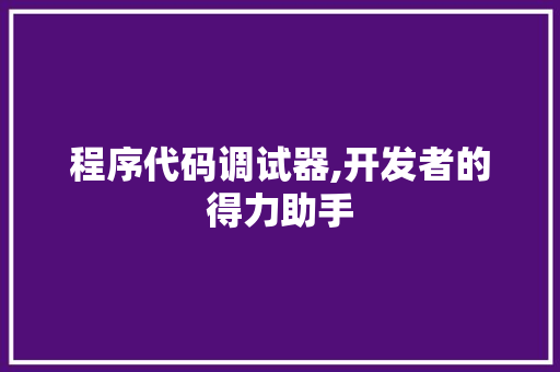 程序代码调试器,开发者的得力助手