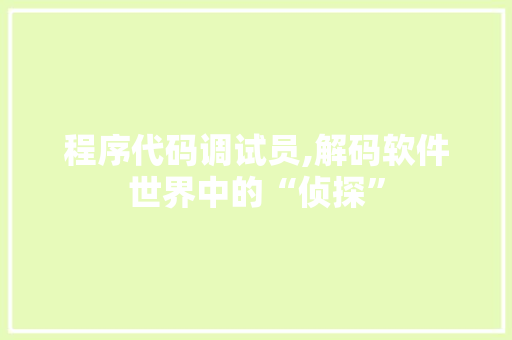 程序代码调试员,解码软件世界中的“侦探”
