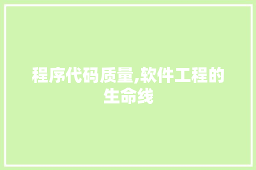 程序代码质量,软件工程的生命线