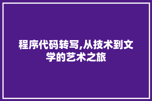 程序代码转写,从技术到文学的艺术之旅