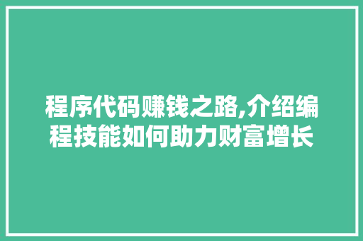 程序代码赚钱之路,介绍编程技能如何助力财富增长