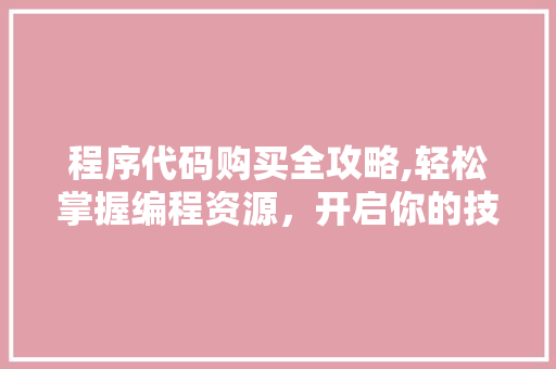 程序代码购买全攻略,轻松掌握编程资源，开启你的技术之旅