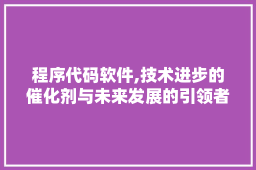 程序代码软件,技术进步的催化剂与未来发展的引领者