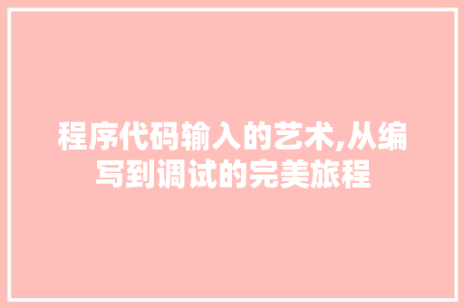 程序代码输入的艺术,从编写到调试的完美旅程