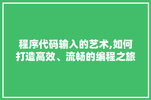 程序代码输入的艺术,如何打造高效、流畅的编程之旅