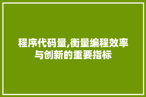 程序代码量,衡量编程效率与创新的重要指标