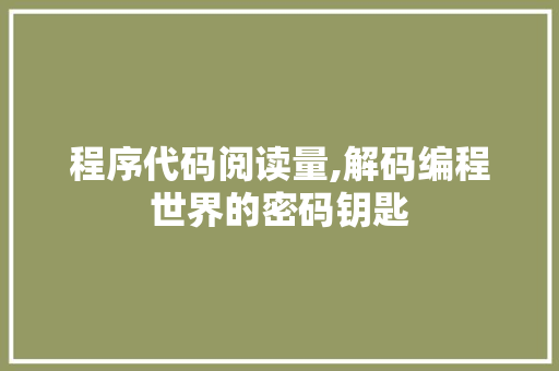 程序代码阅读量,解码编程世界的密码钥匙