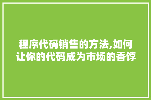 程序代码销售的方法,如何让你的代码成为市场的香饽饽