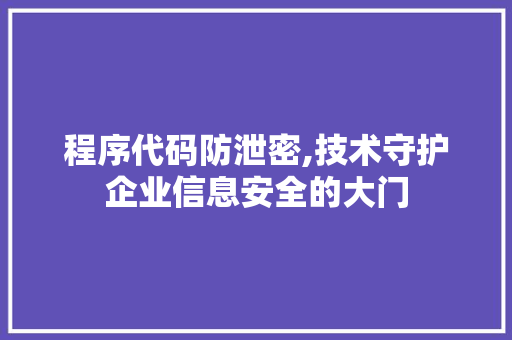 程序代码防泄密,技术守护企业信息安全的大门
