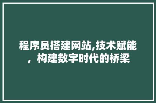 程序员搭建网站,技术赋能，构建数字时代的桥梁
