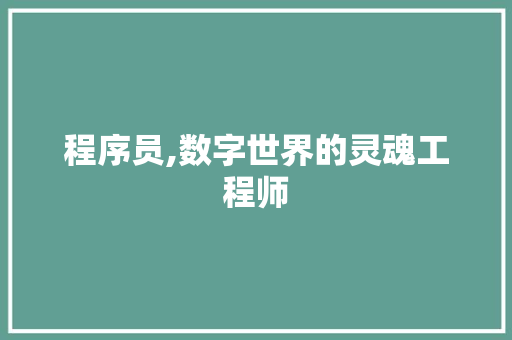 程序员,数字世界的灵魂工程师