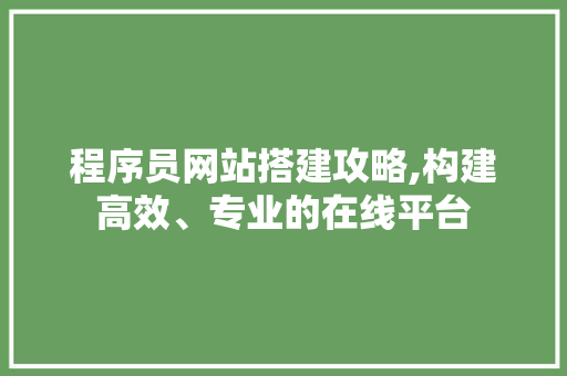 程序员网站搭建攻略,构建高效、专业的在线平台