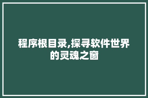 程序根目录,探寻软件世界的灵魂之窗