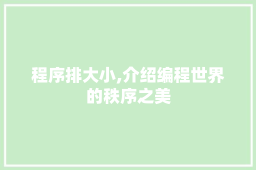 程序排大小,介绍编程世界的秩序之美