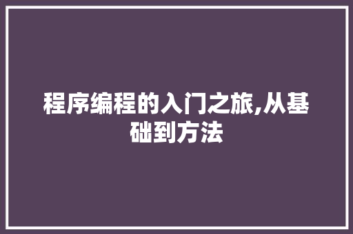 程序编程的入门之旅,从基础到方法