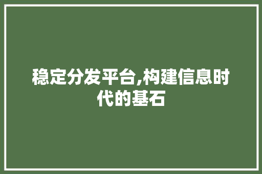 稳定分发平台,构建信息时代的基石